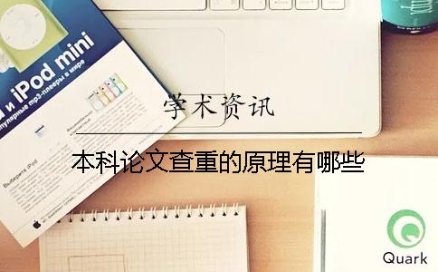 本科论文查重的原理有哪些？？