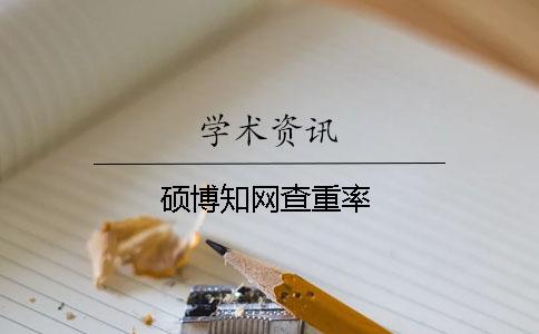 硕博知网查重率