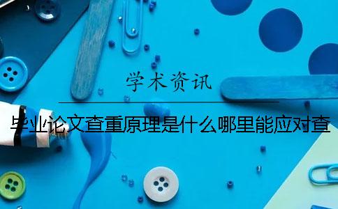 毕业论文查重原理是什么哪里能应对查重