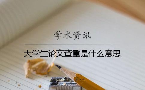 大学生论文查重是什么意思